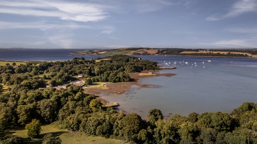 An aerial view of the shore of Strangford Lough at Castle Ward, County Down